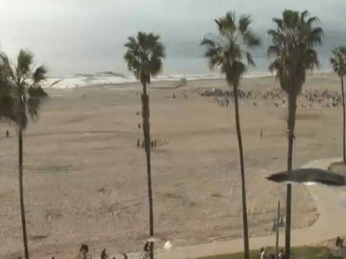 Venice Beach, Los Angeles live cam