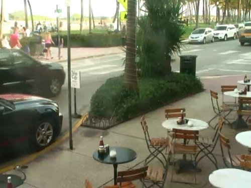 News Cafe, Miami live cam